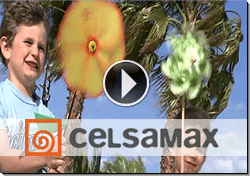 Video screenshot